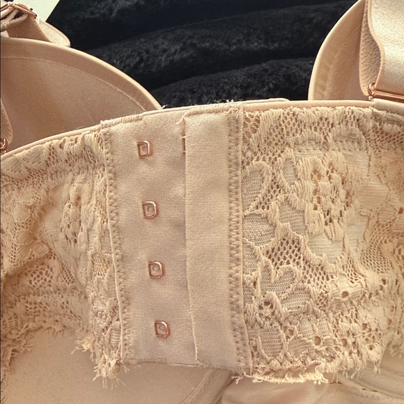 Elegant Lace Trimmed Bra - Picture 5 of 5